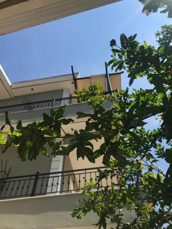Villa Dorita Luxury Apartments 파르가 외부 사진